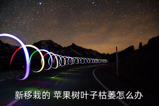 新移栽的 蘋果樹葉子枯萎怎么辦