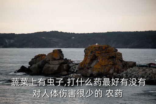蔬菜長蟲了打什么農(nóng)藥最好,什么蔬菜一般不打農(nóng)藥