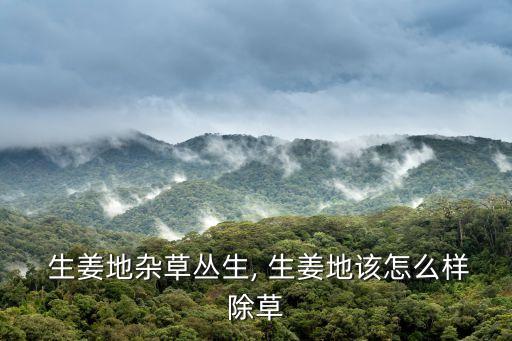 生姜栽培用什么農(nóng)藥,生姜用什么農(nóng)藥防治最好