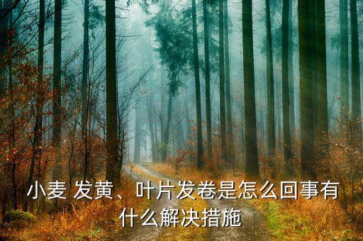 小麥葉發黃用什么農藥,小麥為什么發黃?用什么治?