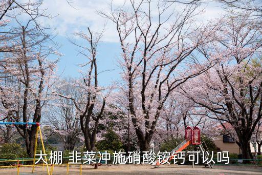 大棚韭菜打什么農(nóng)藥好使