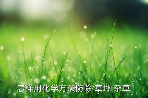 草坪有雜草打什么農(nóng)藥,什么草坪不易長雜草
