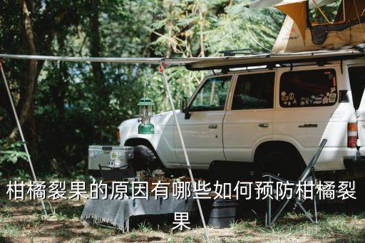 柑橘裂果的原因有哪些如何預防柑橘裂果