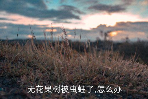 無(wú)花果根瘤用什么農(nóng)藥,根瘤病用什么農(nóng)藥治