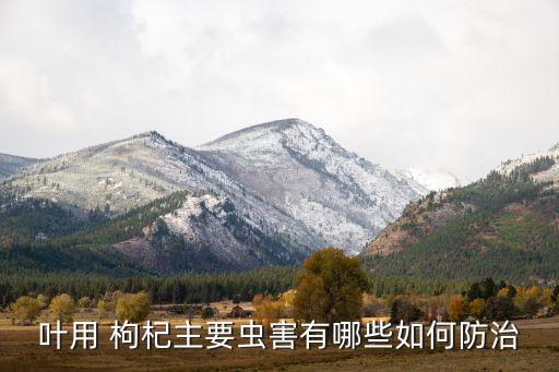 枸杞癭螨用什么農(nóng)藥,枸杞主要打什么農(nóng)藥