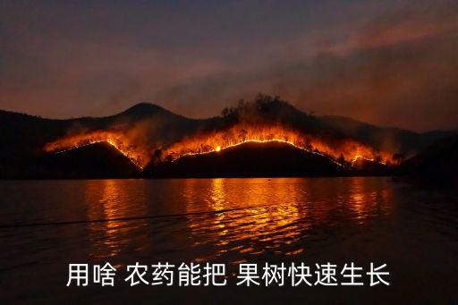 果樹需要噴什么農藥好些,果樹打什么農藥,啥時候打