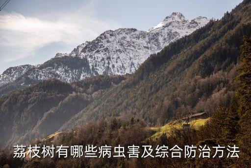 荔枝有花蕾噴什么農(nóng)藥,荔枝疏花蕾用什么藥