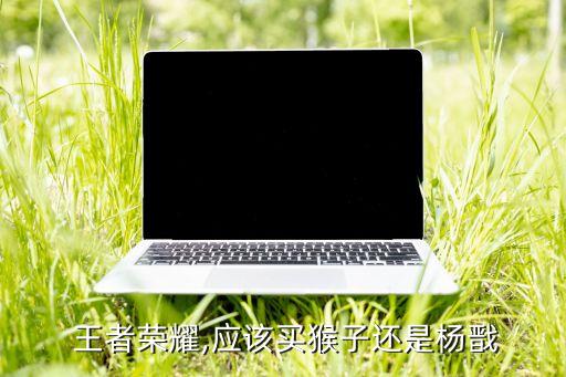 王者榮耀,應該買猴子還是楊戩