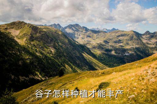 谷子打什么農(nóng)藥,谷子用什么農(nóng)藥控旺長