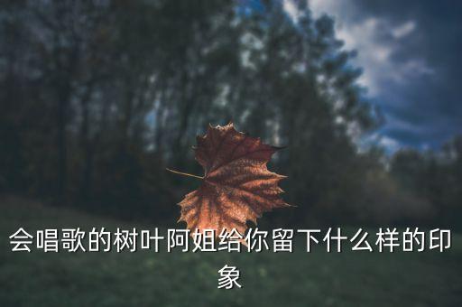 農藥滿山遍地是什么歌