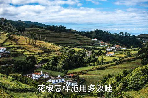 花椒發芽時施什么農藥,花椒樹什么發芽