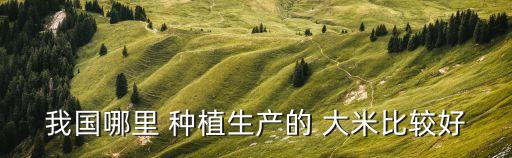 什么地方種植大米不打農(nóng)藥,大米在什么地方種植最好