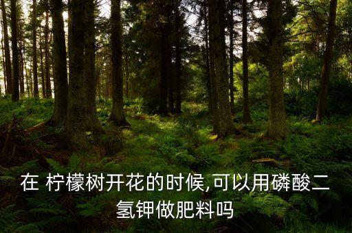 在 檸檬樹開花的時候,可以用磷酸二氫鉀做肥料嗎