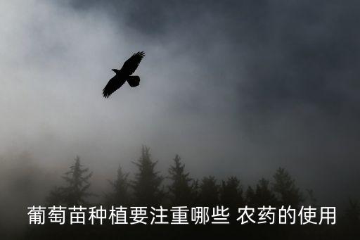 葡萄打什么農藥適合種花,葡萄用什么農藥最多