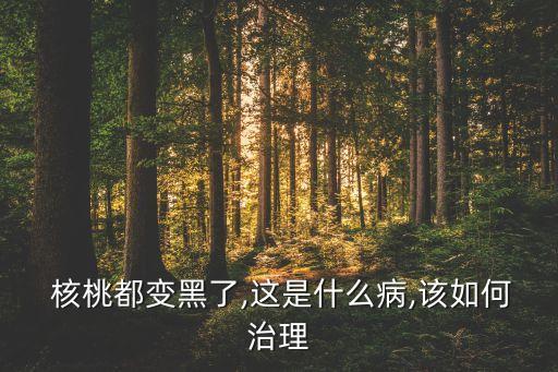 預防黑核桃什么時候打農藥,什么時候打核桃最合適