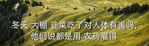 冬天 大棚 韭菜吃了對人體有害嗎,他們說都是用 農藥灌得