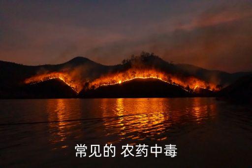 喝農藥為什么要輸血