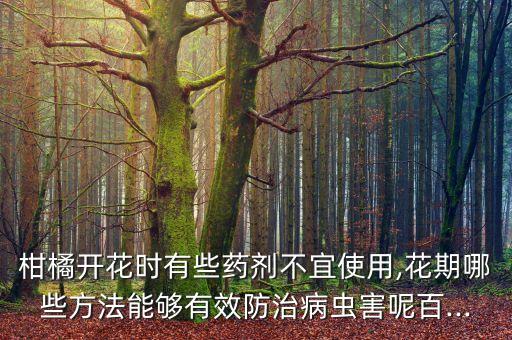 柑橘開花時有些藥劑不宜使用,花期哪些方法能夠有效防治病蟲害呢百...