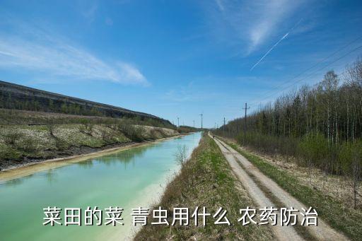青瓜青蟲用什么農藥,青蟲菌屬于什么農藥