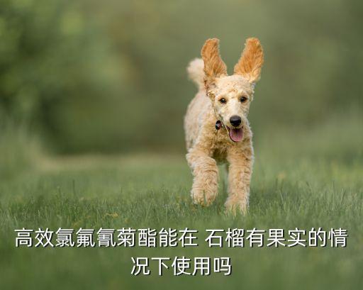 石榴需用什么農(nóng)藥消毒殺菌