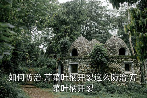 芹菜桿發硬噴什么農藥