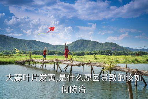 蒜苗葉黃用什么農(nóng)藥,蒜苗變黃是因?yàn)槭裁? /></a><a href=