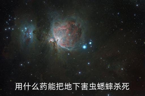 雪草打什么農藥最好,殺節節草用什么農藥