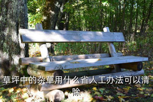 草坪中的雜草用什么省人工辦法可以清除