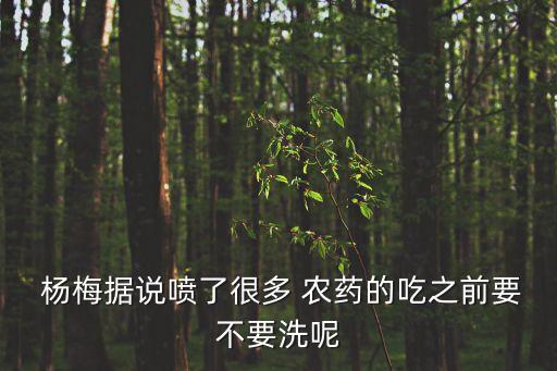 楊梅什么時候農藥,東山楊梅什么時候上市