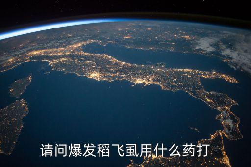 什么農藥打稻飛虱好使些,稻飛虱用什么農藥好