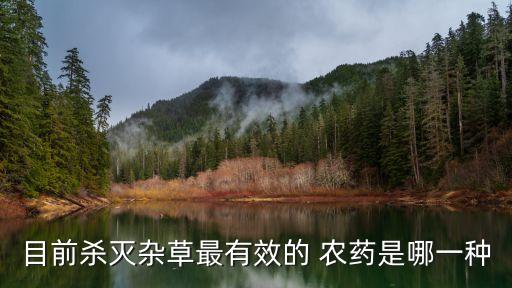 八根草用什么農藥打死