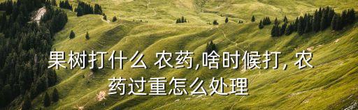  果樹(shù)打什么 農(nóng)藥,啥時(shí)候打, 農(nóng)藥過(guò)重怎么處理
