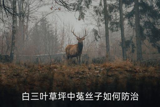 吐絲籽用什么農藥能打死