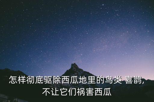 怎樣徹底驅除西瓜地里的鳥類 喜鵲,不讓它們禍害西瓜