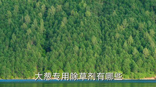 大蔥打什么農(nóng)藥啊能吃了,大蔥怎么做最好吃