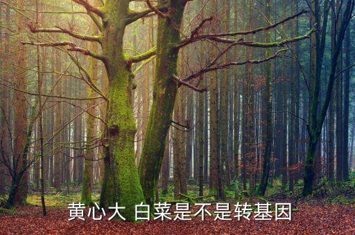 白菜上有蟲用什么農藥效果好,黃心白菜用什么農藥