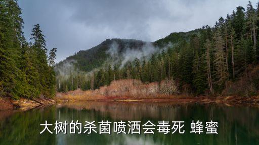 大樹的殺菌噴灑會毒死 蜂蜜