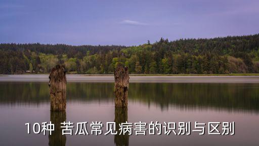 苦瓜黑霉病用什么農藥,葉霉病用什么農藥