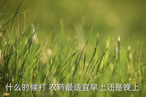 什么時候打 農藥最適宜早上還是晚上