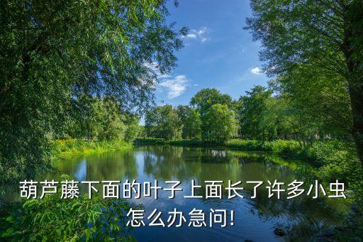 葫蘆長青蟲打什么農藥