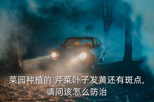 菜園種植的 芹菜葉子發黃還有斑點,請問該怎么防治