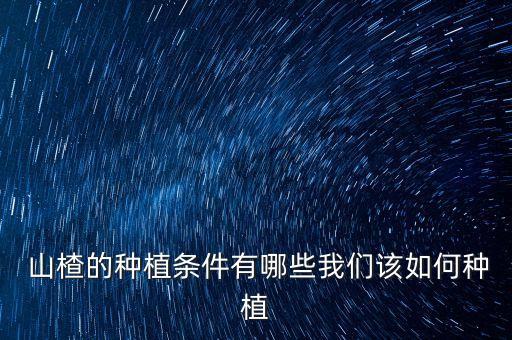 山楂的種植條件有哪些我們該如何種植