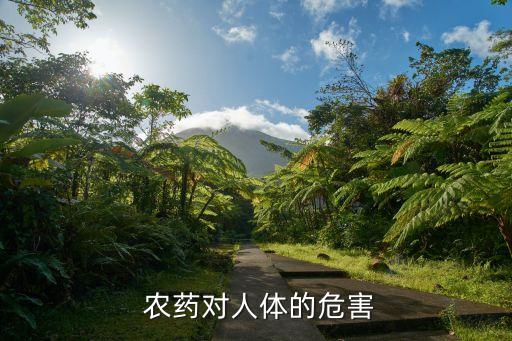 農(nóng)藥噴灑多了有什么影響,桃樹(shù)噴灑什么農(nóng)藥