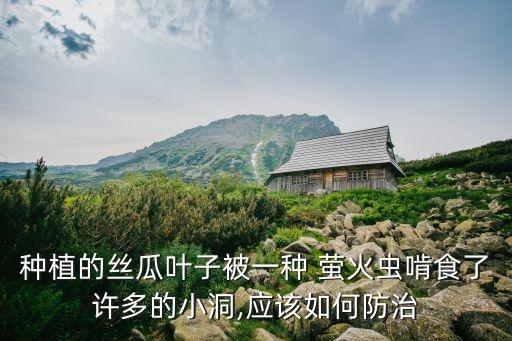 治螢火蟲用什么農藥,螢火蟲能治什么病