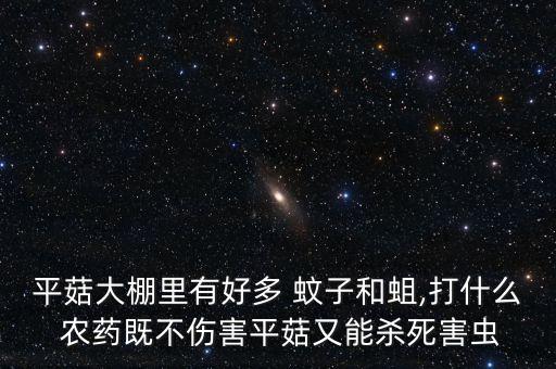平菇大棚里有好多 蚊子和蛆,打什么 農藥既不傷害平菇又能殺死害蟲