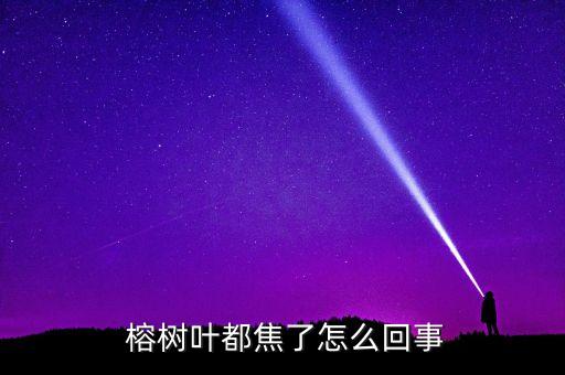 榕樹怕什么農藥,墻上榕樹最怕什么死得快