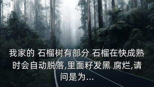 什么農(nóng)藥能治石榴內(nèi)腐爛,打石榴樹用什么農(nóng)藥好