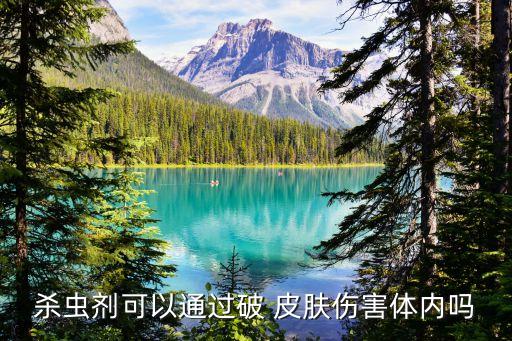 殺蟲劑可以通過破 皮膚傷害體內嗎