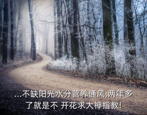 農(nóng)藥什么成分使用不開花,農(nóng)藥的成分用什么方法容易記