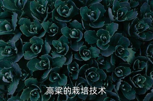 撲滅津是什么作用的農藥,農藥氟氯氰菊酯是什么作用